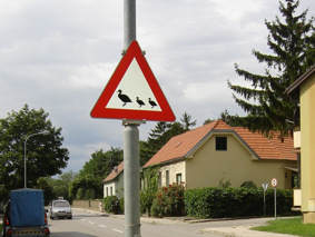 Oberwaltersdorf, Tattendorfer Strasse